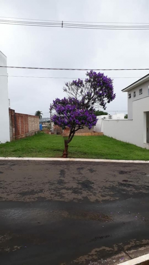 Terreno à Venda no Pinheiros em Araçatuba/SP
